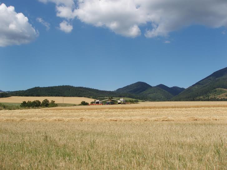 kopce